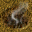 (1,1) Wasteland 